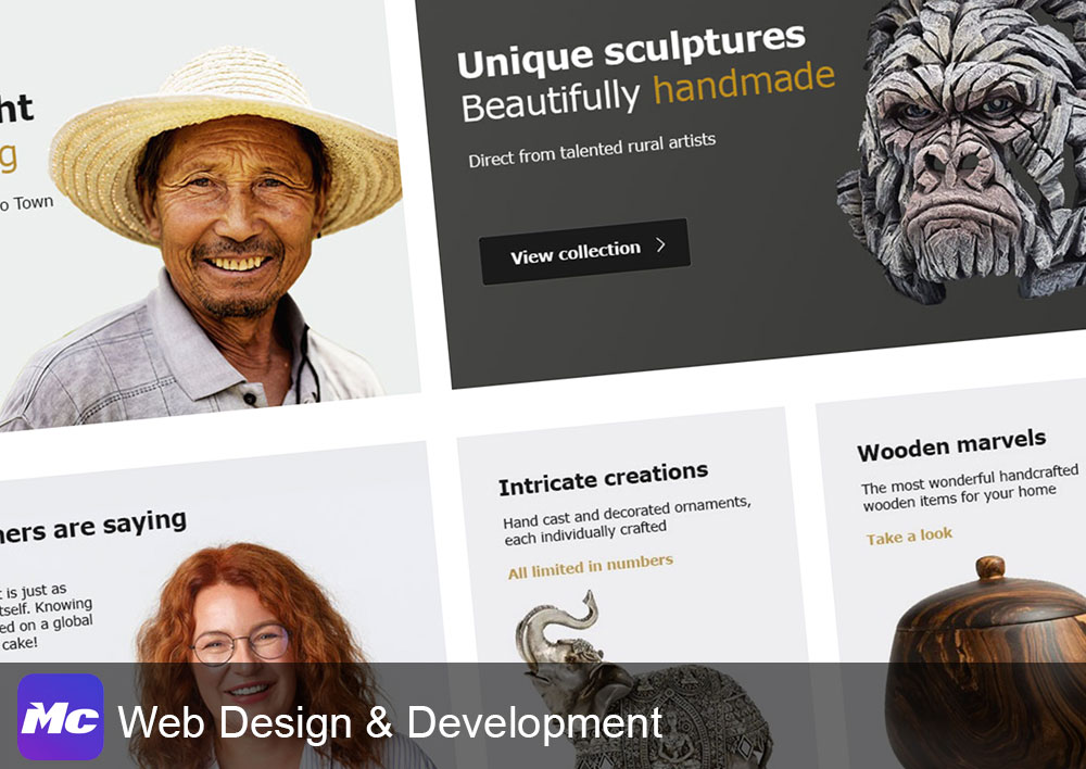 Website design and development UAE